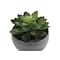 Monarch Specialties Artificial Plant, 6" Tall, Succulent, Indoor, Faux, Fake, Table, Greenery, Potted, Set Of 3 I 9587 - alternate 3